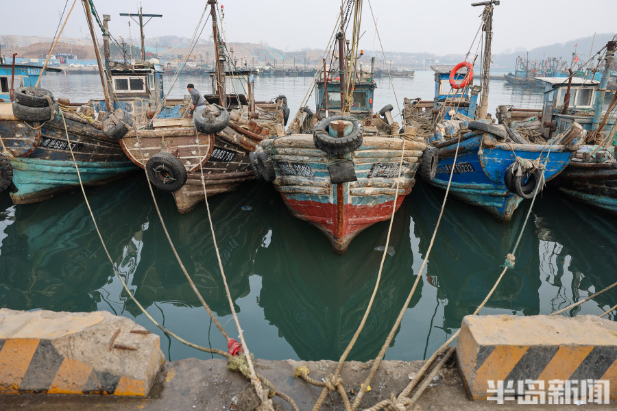 渔船海鲜市场青岛,海鲜市场渔船