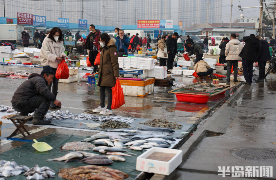 渔船海鲜市场青岛,海鲜市场渔船