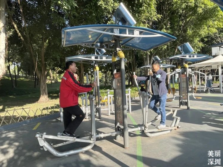 深圳南山加快培育产业发展新动能,南山高质量发展