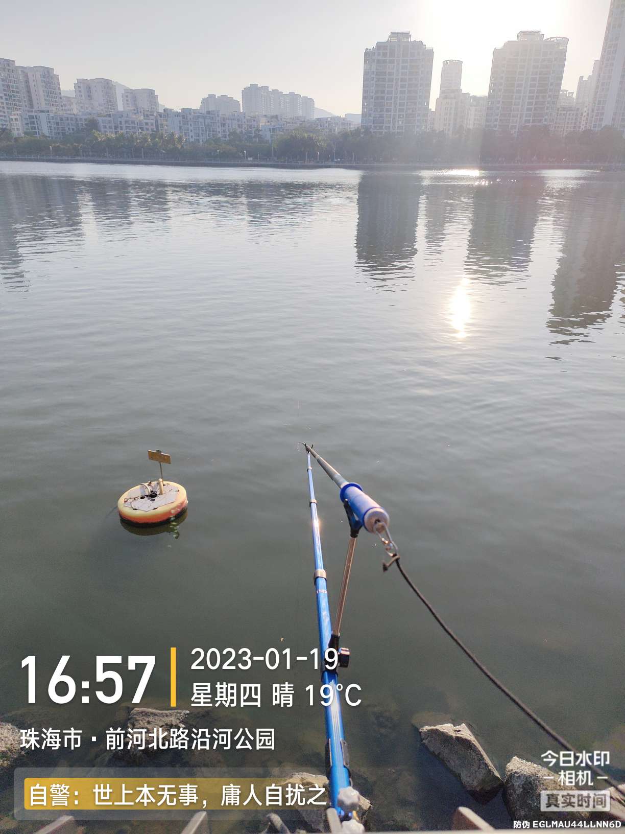 再回昔日热门钓位，铩羽而归，幸有鳊鱼数尾，颜面方得以保留