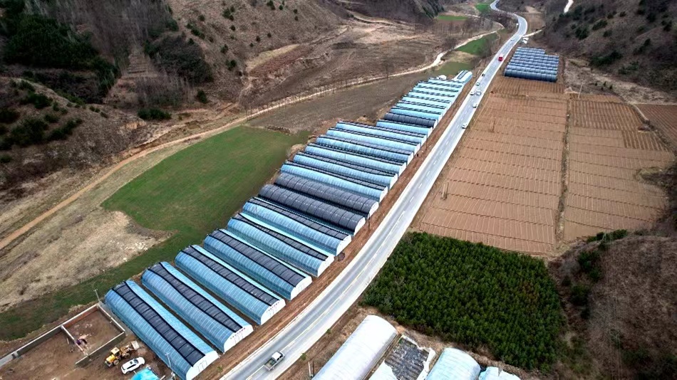 清水村经济产业发展,清水县的乡村振兴成就