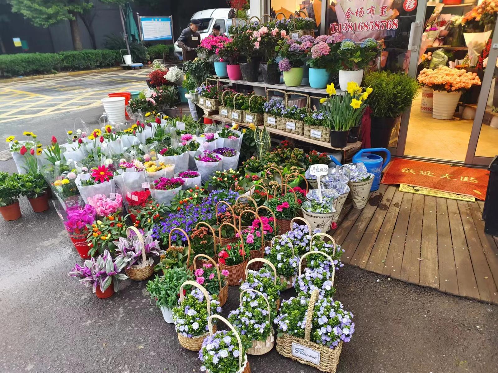 单支鲜花价格表,鲜花市场回暖玫瑰花价格上涨明显