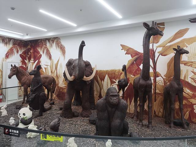 上海4天游玩小孩攻略,带娃上海3天2晚旅游攻略