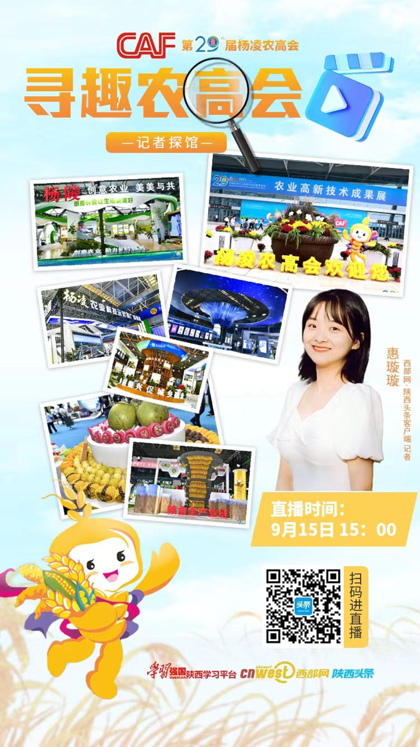 广东招网络与新媒体实习生,西部人才网最新招聘信息