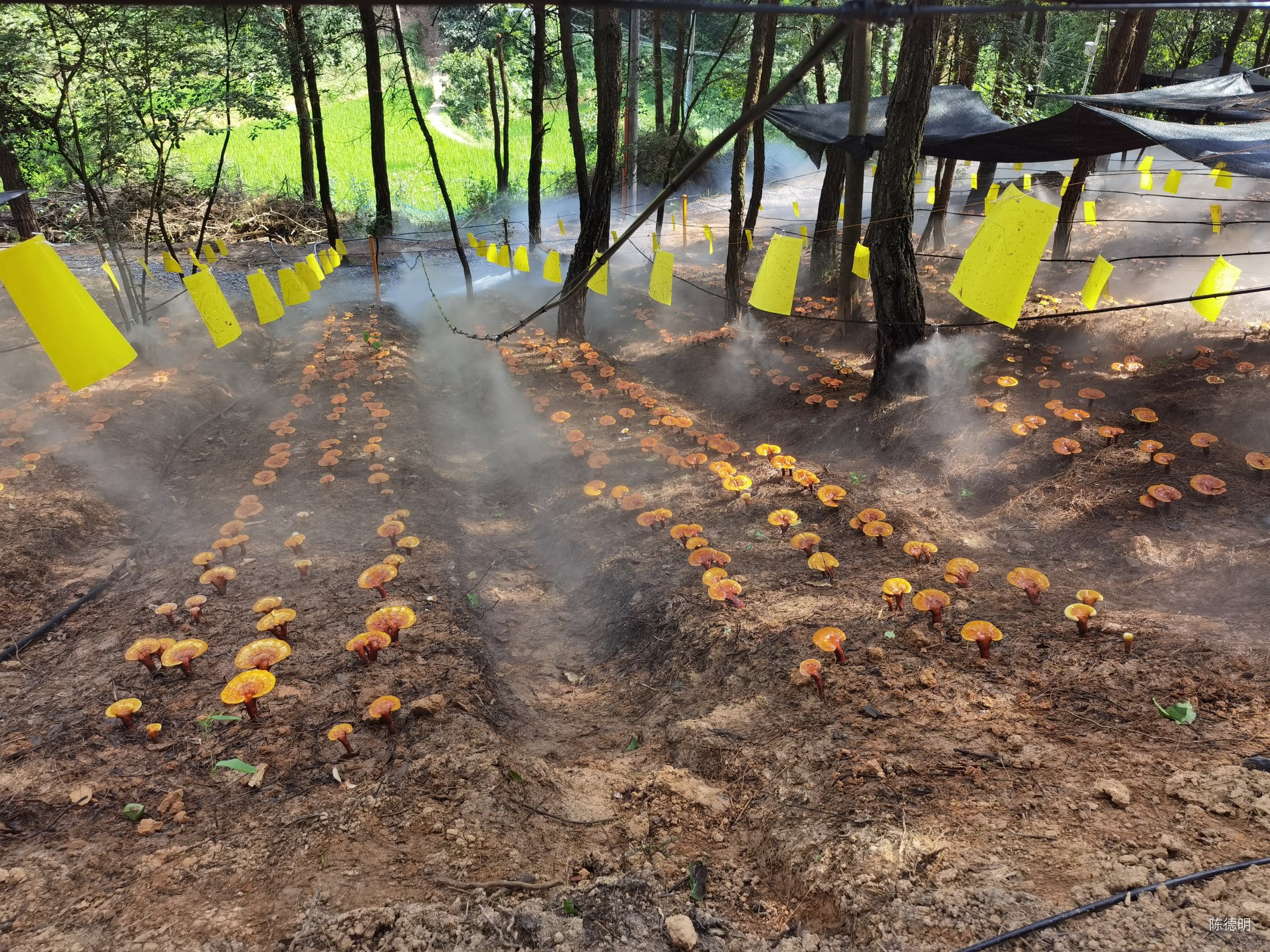 党员冬训“学习+服务”见实效,党员冬训活动实效