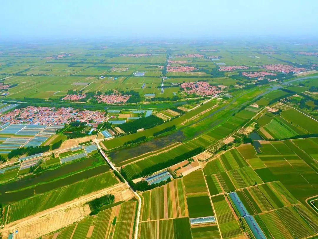 落子布局,产业布局加快区域产业高质量发展