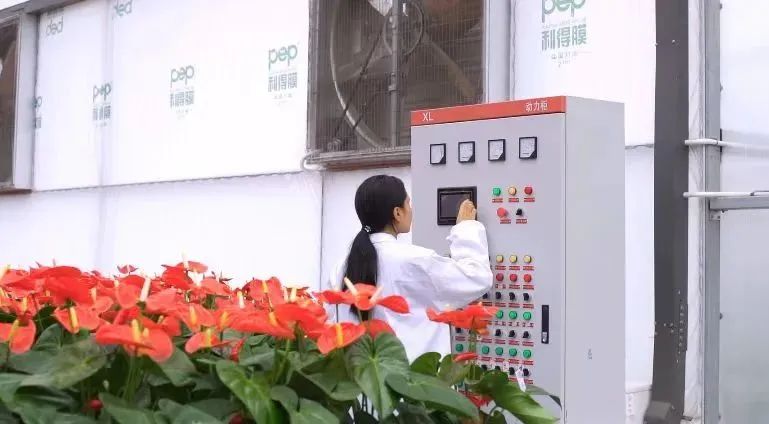 落子布局,产业布局加快区域产业高质量发展