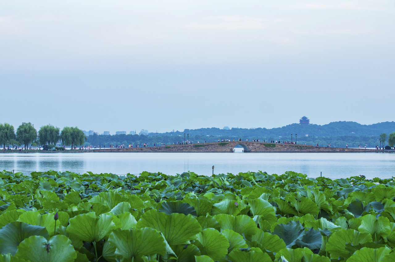 现在适合老人的高薪工作,有什么工作适合老年人灵活就业