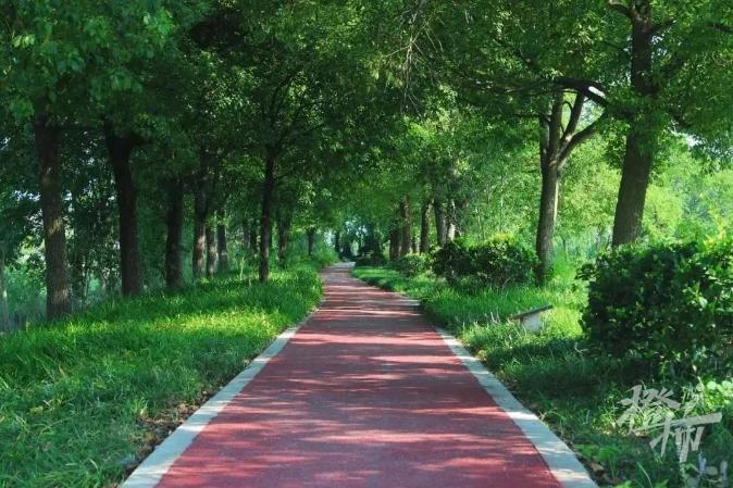 杭州出发郊外骑行路线推荐,杭州龙井骑行路线推荐