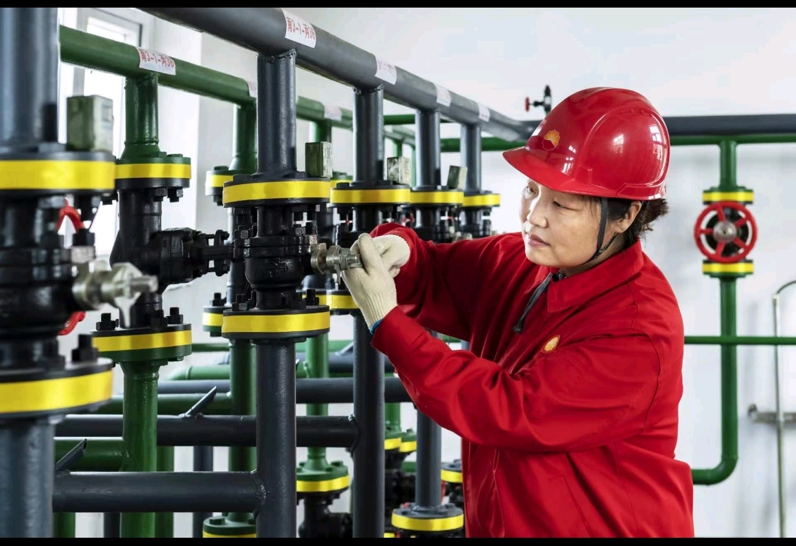 大国工匠刘丽阅读答案,大国工匠刘丽