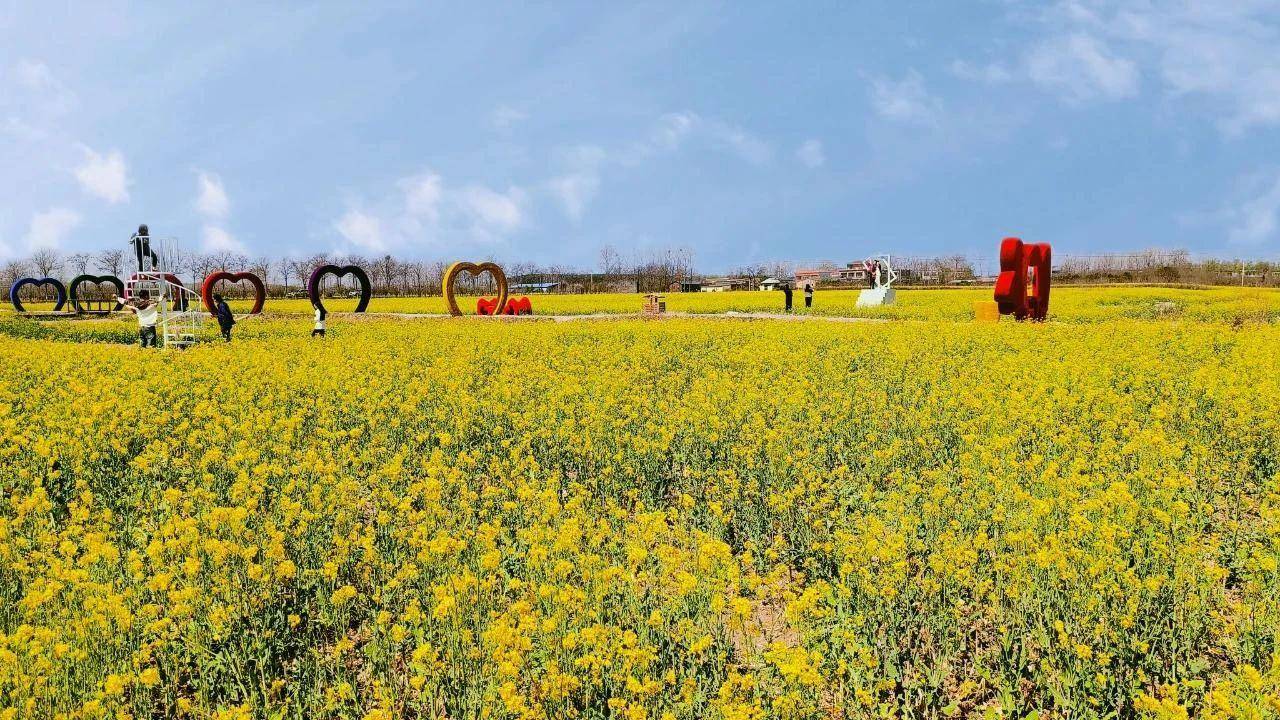 阳春三月春风暖，姹紫嫣红美家园