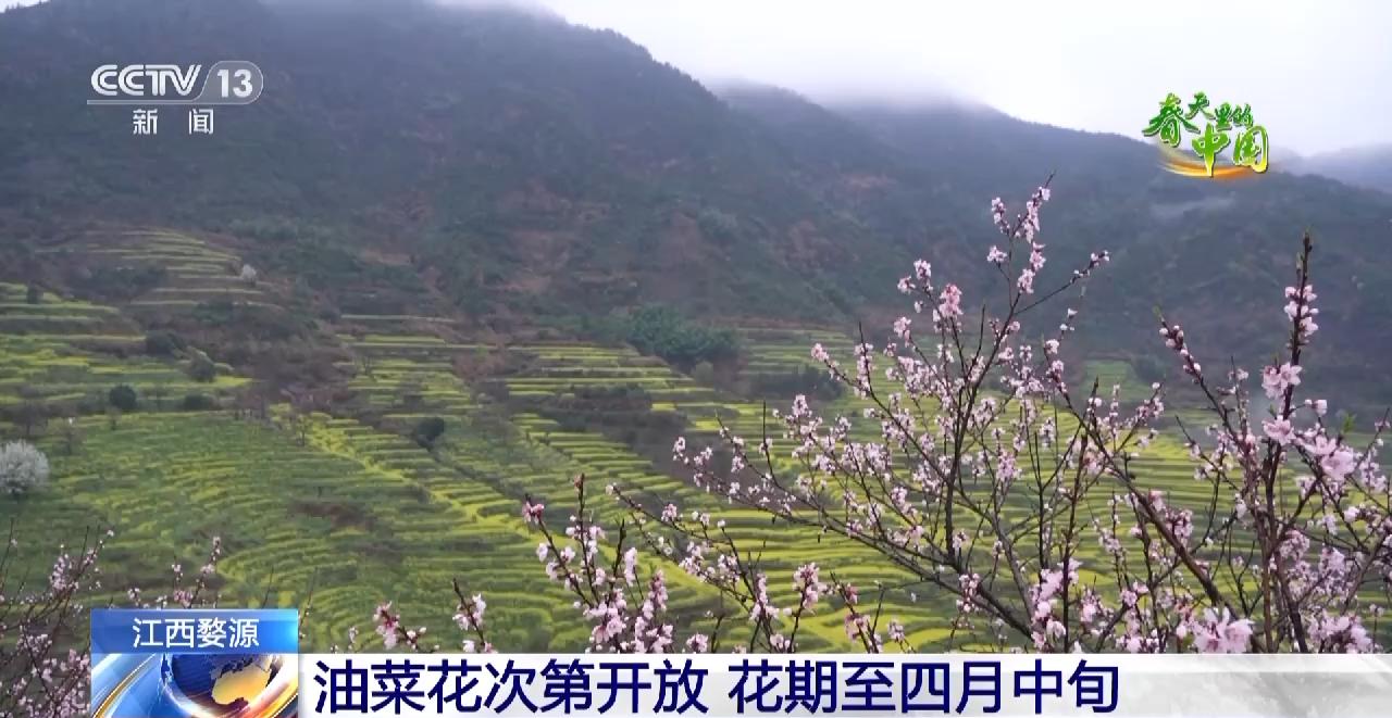 婺源人间仙境美如画,江西婺源云雾缭绕人间仙境