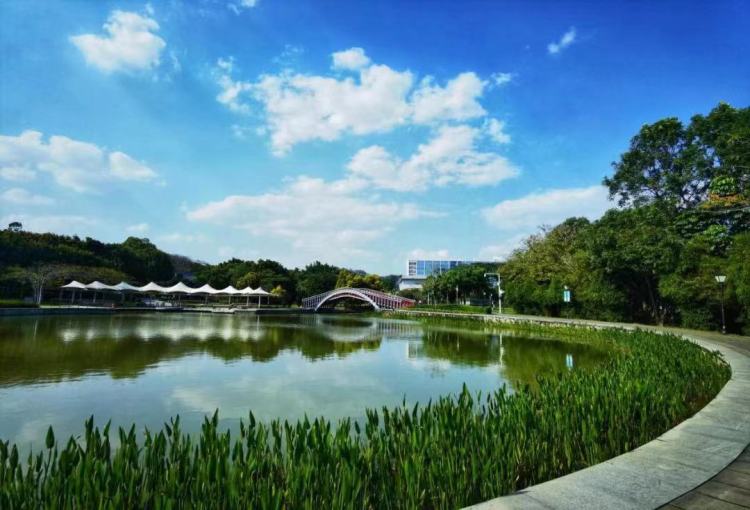 一起露营吧禾茂田园,一起露营吧广东话