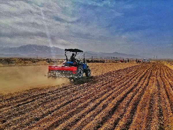 奋进新时代护航新征程,扛牢政治责任守好粮食安全