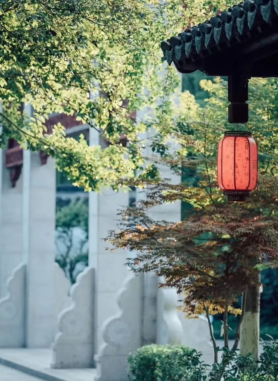 半岛叨叨丨放假7天！青岛这所高校冲上热搜，网友：又是别人家的学校