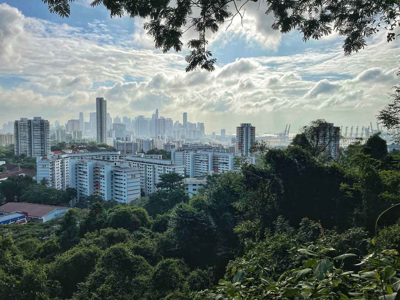 新加坡花园城市蕴含的意义,新加坡全球花园城市