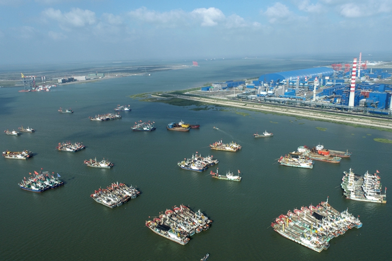 谋定而后动厚积薄发体现了什么,谋定而后动厚积薄发是什么意思