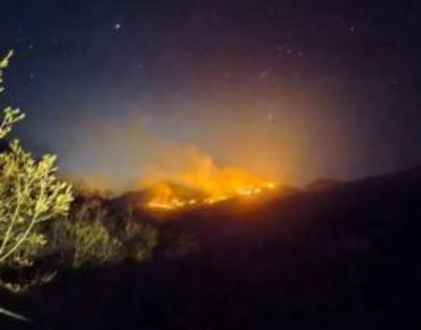 上坟不让烧纸条例,上坟烧纸的法律规定