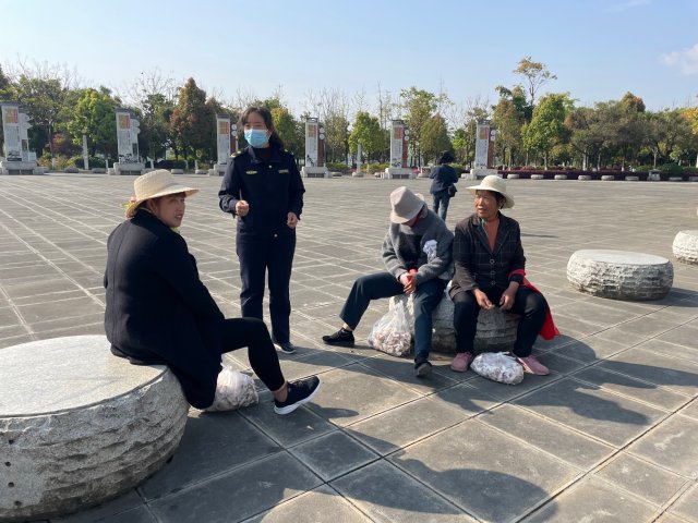 有一种叫云南的生活|云南的“宝藏绿化带”里可不只有迷迭香!