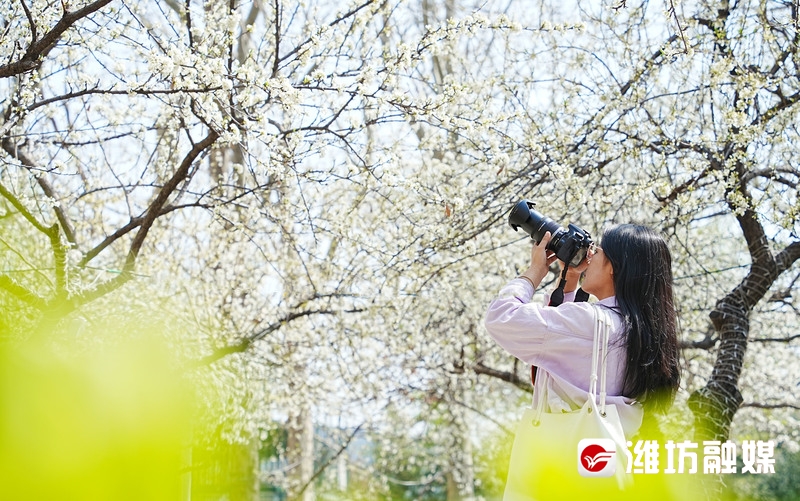 潍坊金宝乐园导游图高清,潍坊金宝乐园实体拍摄
