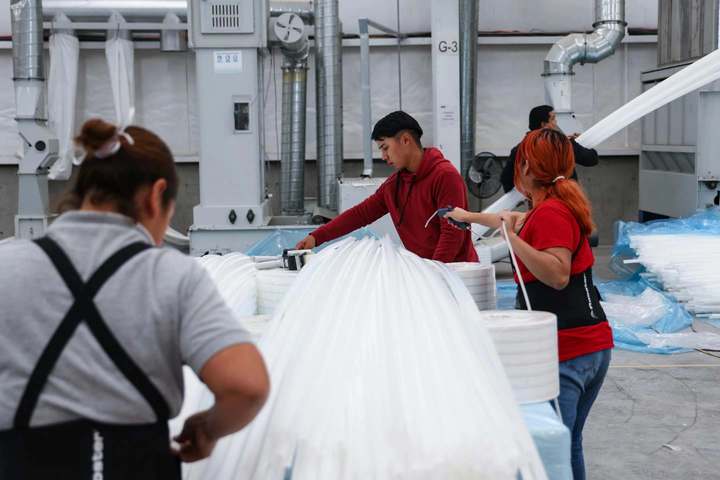 了不起的地瓜,了不起的地瓜墨西哥