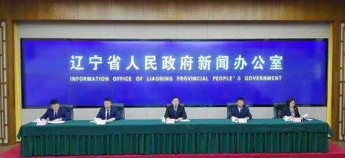 辽宁自由贸易试验区大连片区,辽宁大连自由贸易试验区规划