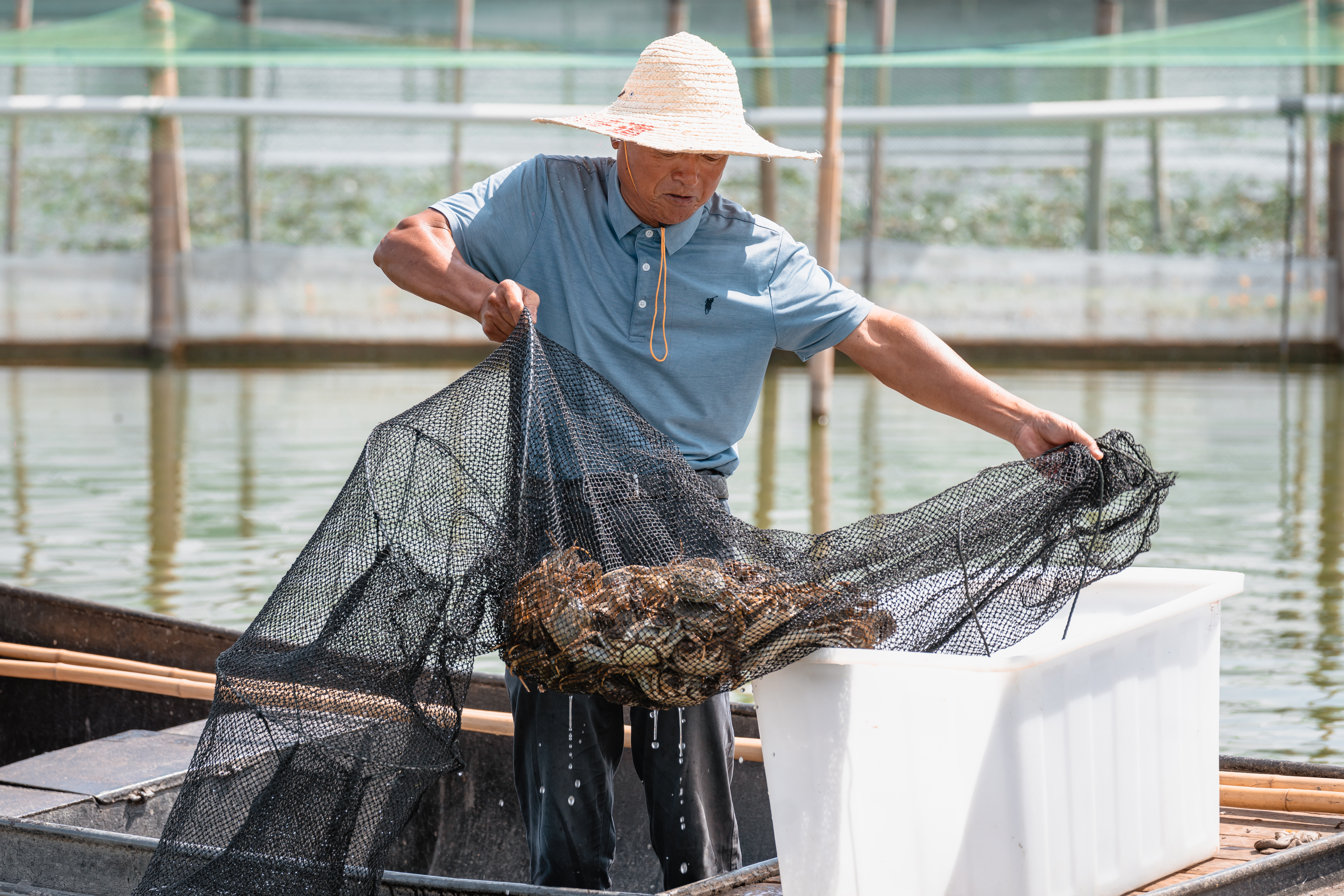 昆山巴城阳澄湖蟹文化旅游节,昆曲与阳澄湖大闸蟹
