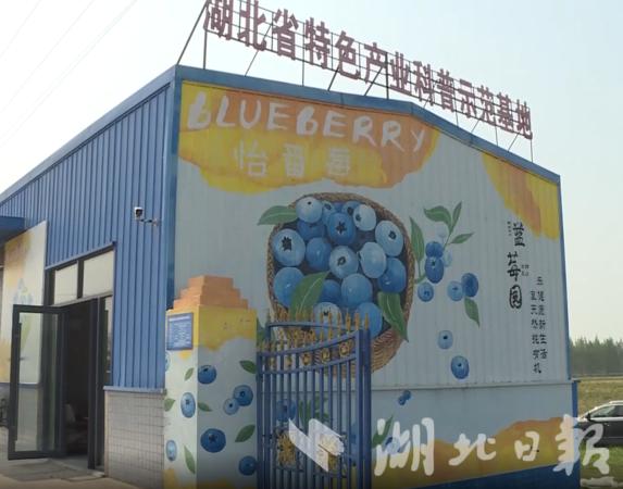 杨家厂镇公安县,公安县杨家厂发展