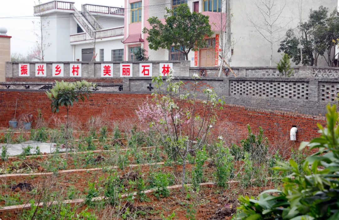 “星”屋场①丨石林屋场：“1+1+1”让群众从“旁人”到“主人”