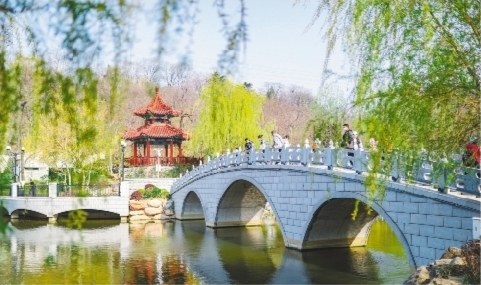 共赴山海之约共享发展红利——2023年大连市文化和旅游产业发展大会侧记