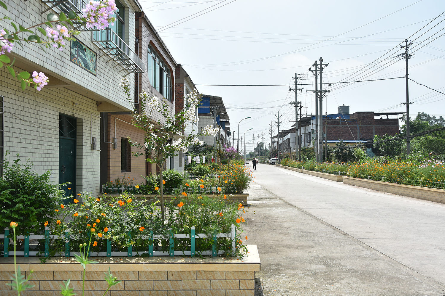 中流击水奋楫行源头活水汨汨来
