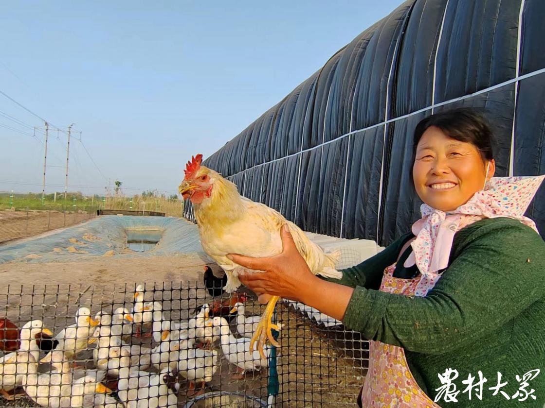 骑“驴”看样本|农业园未开先“火”！盐碱地村民吃上“旅游饭”