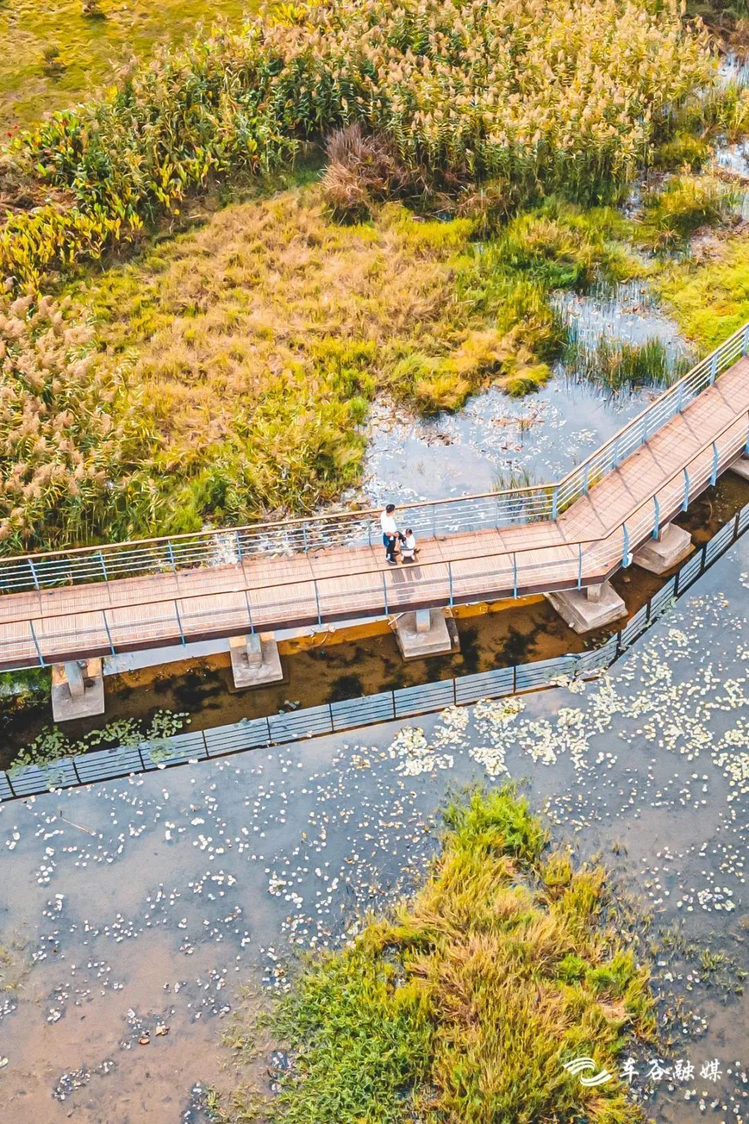 骑车打卡绿道,东湖绿道骑行享受闲暇时光