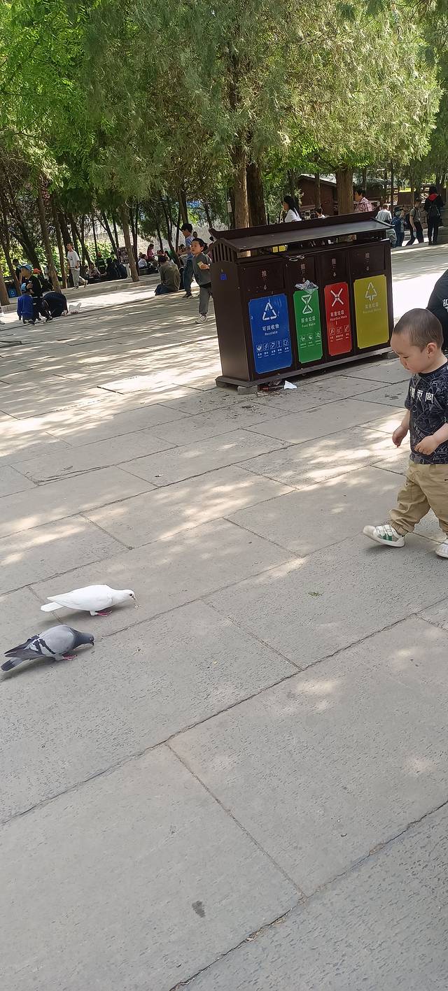 少林寺登封之旅,嵩山少林寺自由行