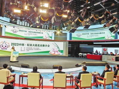 “蒜”出富民强县路