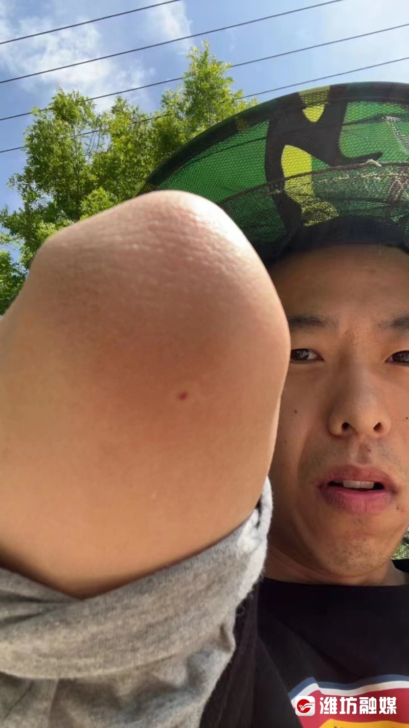 蜂二代只卖纯蜂蜜,蜜蜂二代