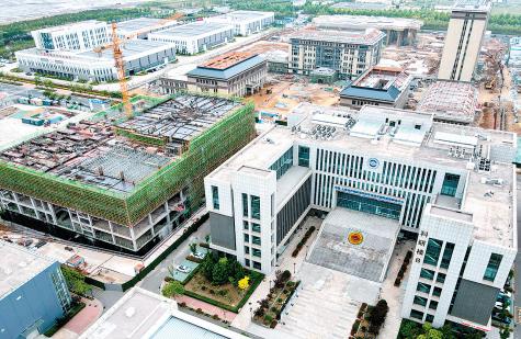 强信心稳预期促发展,青岛海洋经济发展规划