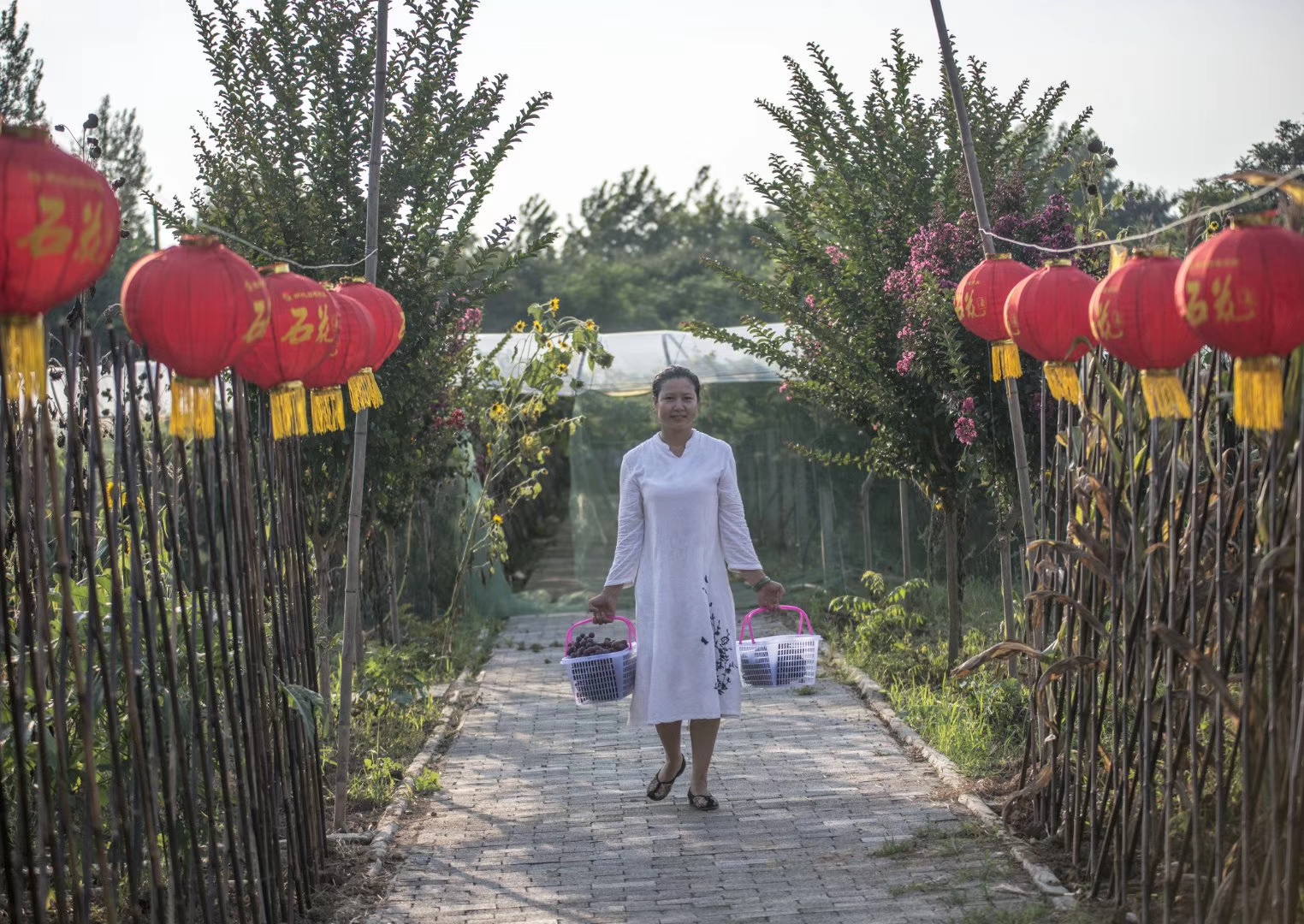 鍚寸弽璧ゅ杩斾埂鍒涗笟闈掑勾,璧ゅ鍚寸弽