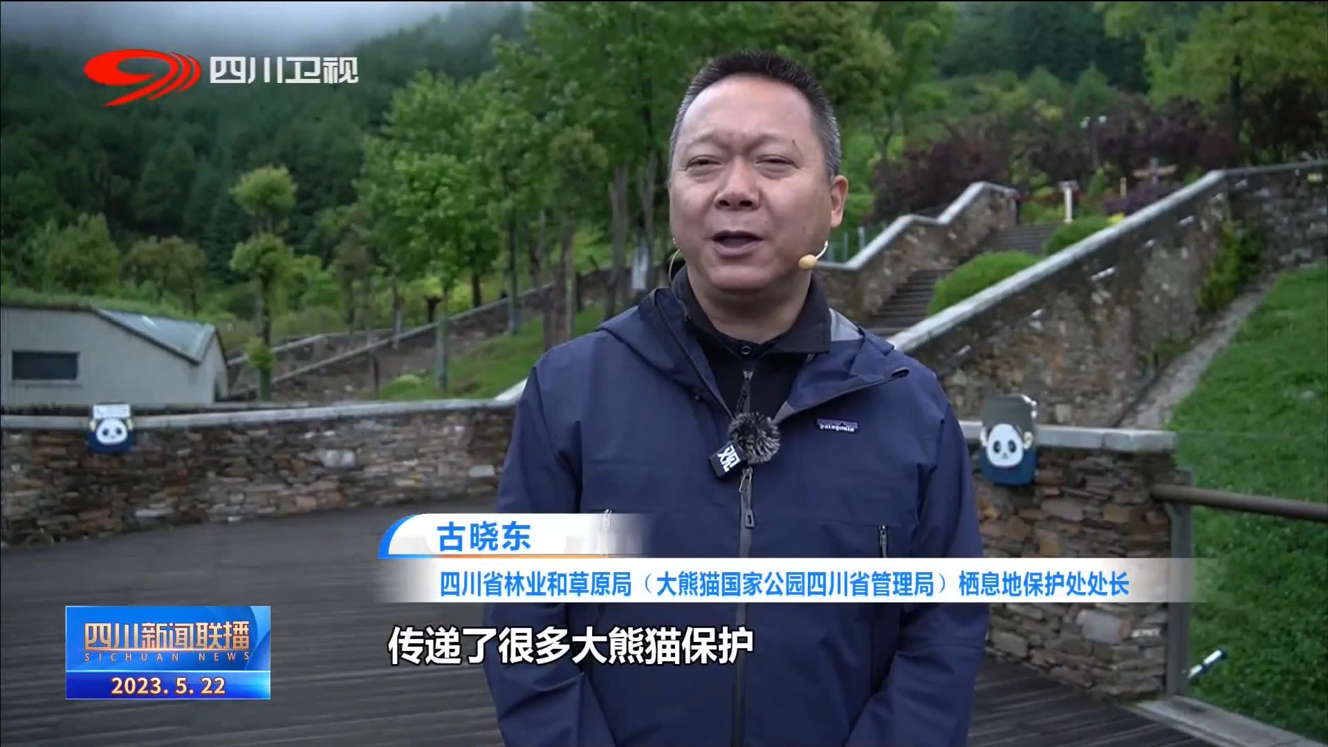 大熊猫国家公园纪录片,四川观察大熊猫直播