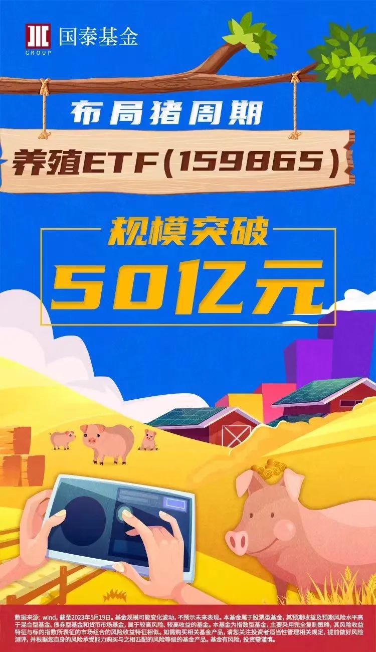 电力上涨的主要原因,美国电力价格上涨原因