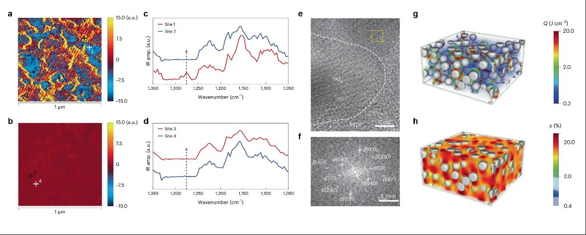 《自然·材料》刊发华科大刘洋教授电热驱动铁电聚合物研究成果