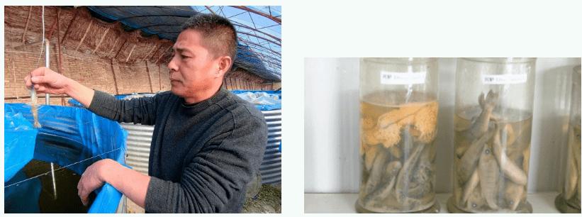 牛塘附近小龙虾,牛寨小龙虾