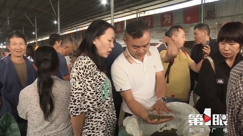 第1眼重庆广电消息,重庆广电官网