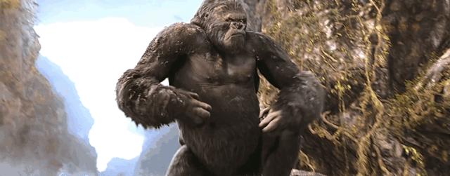 电影频道环球影院,电影金刚精选视频