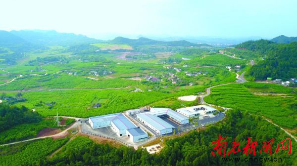 四川尚好茶业有限公司茶叶价格,四川尚好茶业有限公司工地