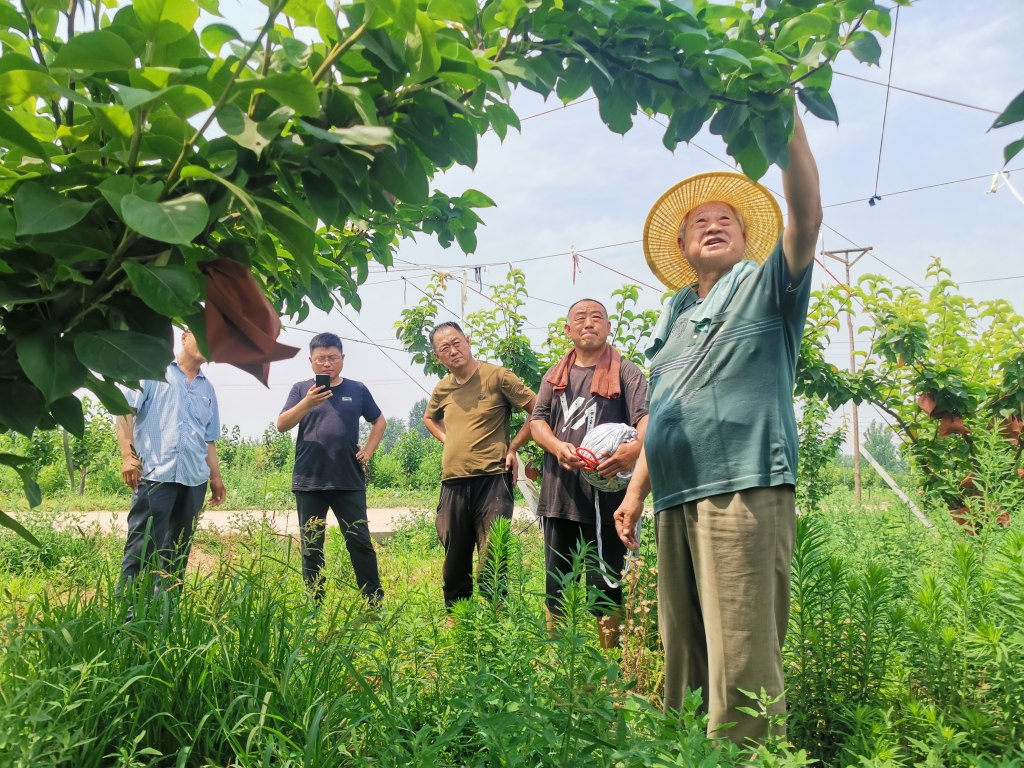 有了初心，就是一辈子的事——追记“燕赵楷模”、河北“新时代离退休干部的模范”曲宪忠