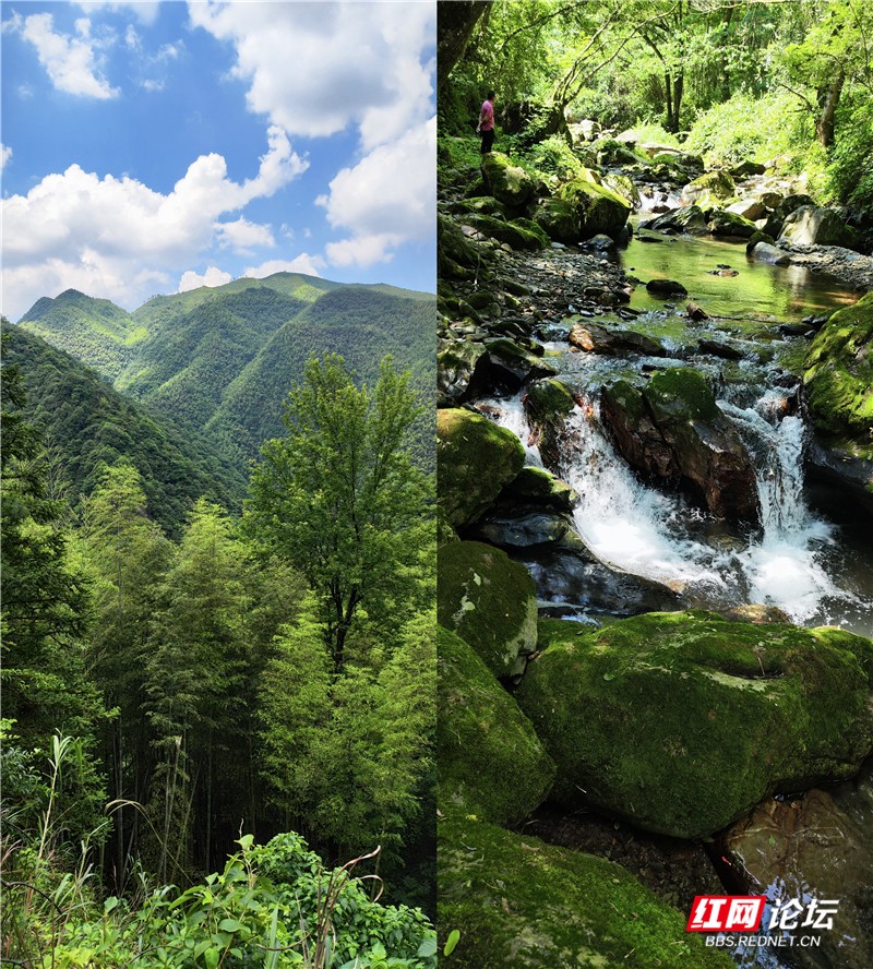 有山有水有瀑布，炎炎夏日好去处，攸县有个八福垅