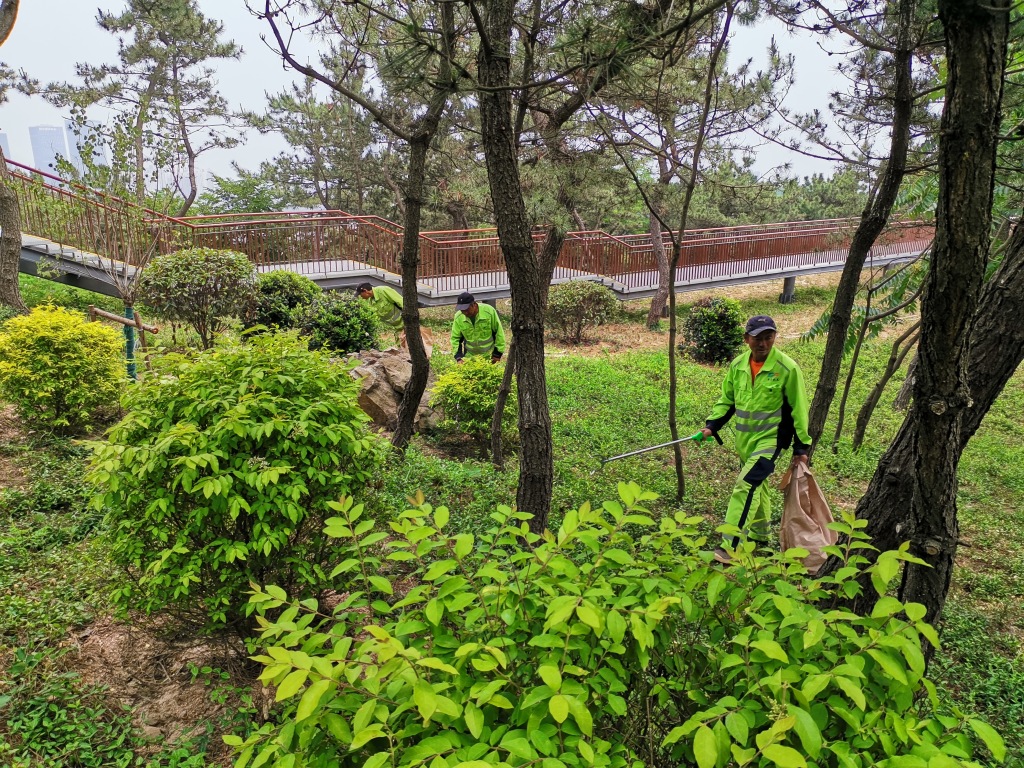 广东闹市发现巨蟒,深山现巨蟒