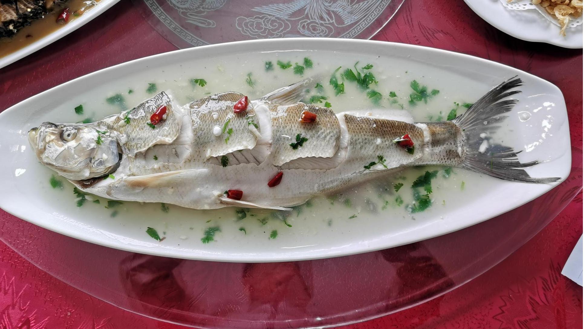 游龙江美景,跟随镜头一起畅游锡林郭勒大草原