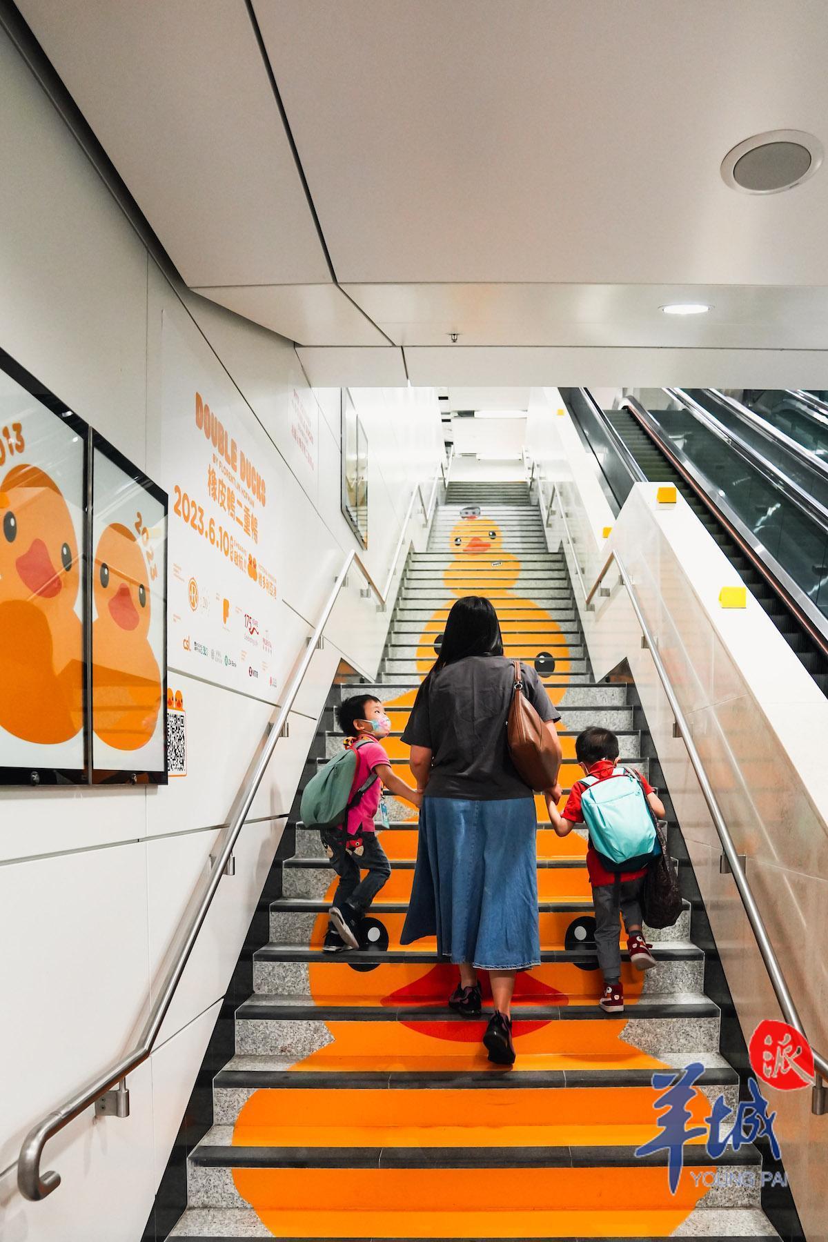 “大黄鸭”阔别10年重游香港,大黄鸭经典升级版